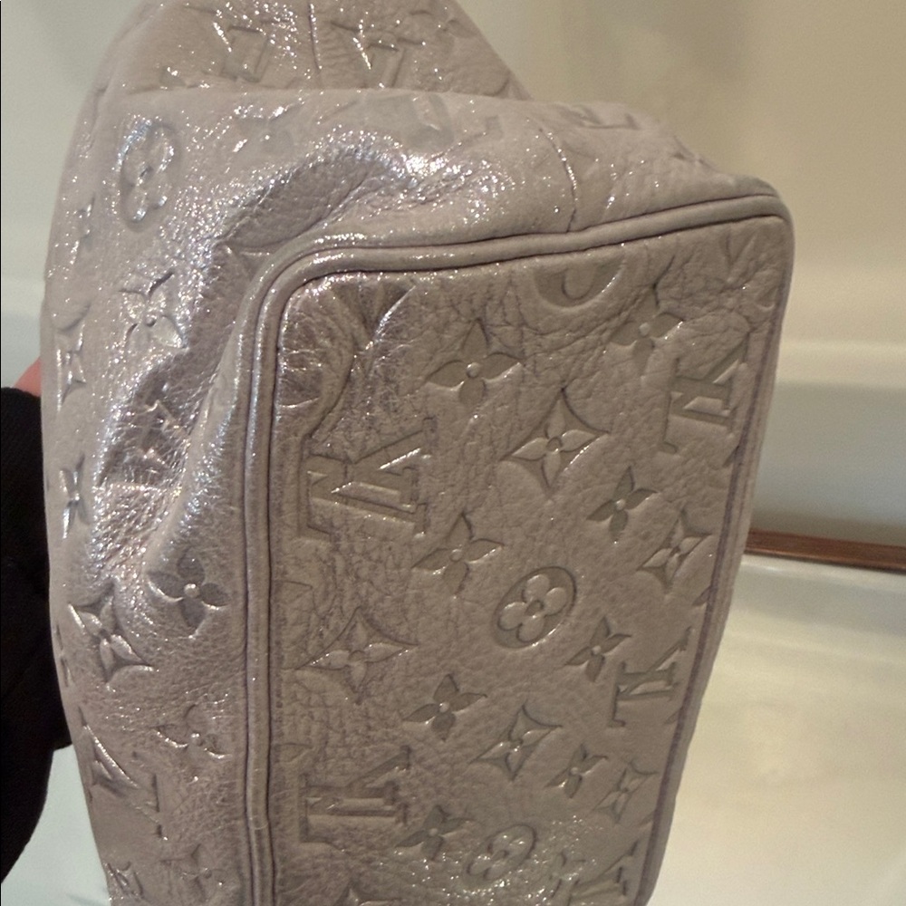 Louis Vuitton Metallic Silver Hobo Bag - Picture 6 of 13